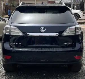 Lexus RX 2010 Blue