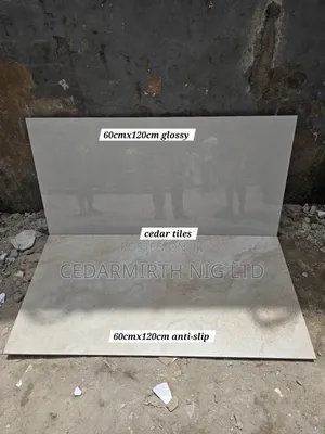 Wall Floor Tiles Combo in 60x120