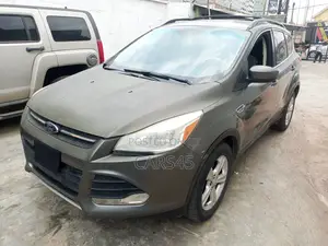 Ford Escape 2013 Gray