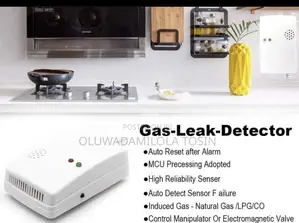 Gas Leakage Detector