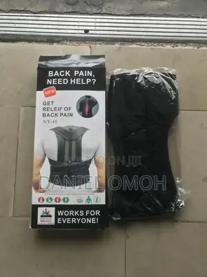 Back Support Massager