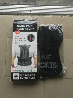 Back Support Massager