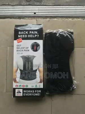 Back Support Massager