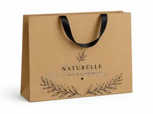 Brown A4 Landscape Paper Bag, Ribbon Handle, 110gsm, One Color Print