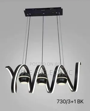 Black Body Pendant Coiling Light