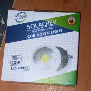 12w Cob White Light