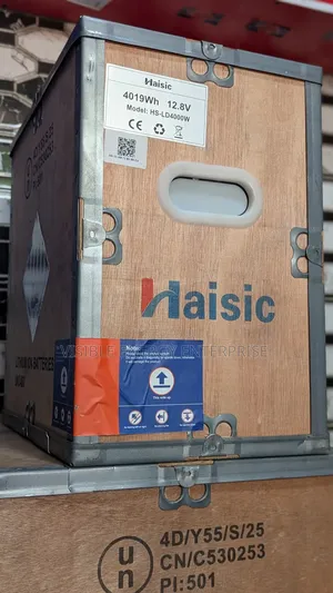 Haisic 4kwh Lithium-Ion Battery (Model: Hs-Ld4000w)