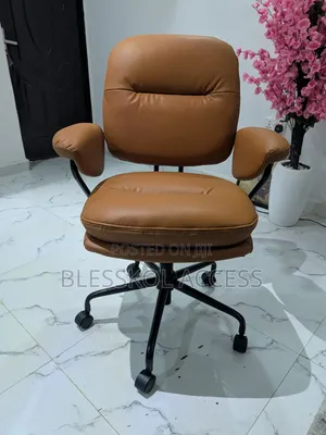 Oraimo Softnest Double-layer Cushioning Office Chair