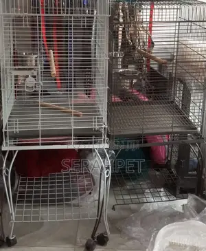 African Grey Bird Cage Available for Sale