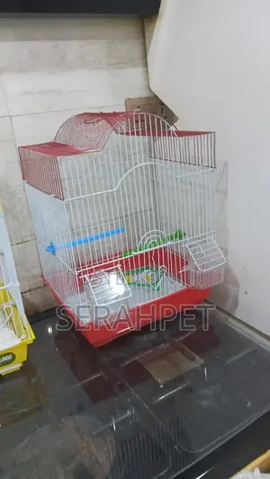 Love Birds Cage Available for Sale