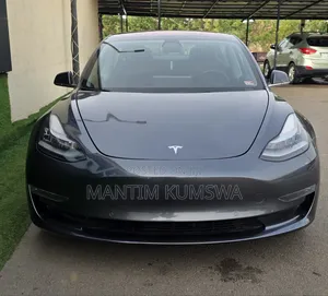 Tesla Model 3 75D kWh Long Range 2019 Gray