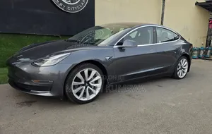 Tesla Model 3 75D kWh Long Range 2019 Gray