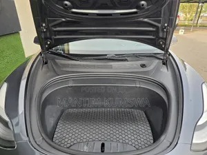 Tesla Model 3 75D kWh Long Range 2019 Gray