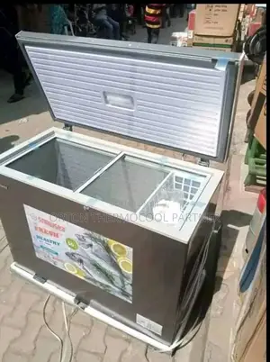 Snowsea Deep Freezer 300l