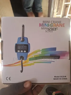 Mini Crane Scale 300kg