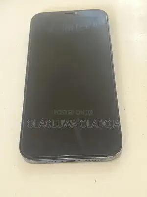Apple iPhone 12 Pro Max 256 GB Gray