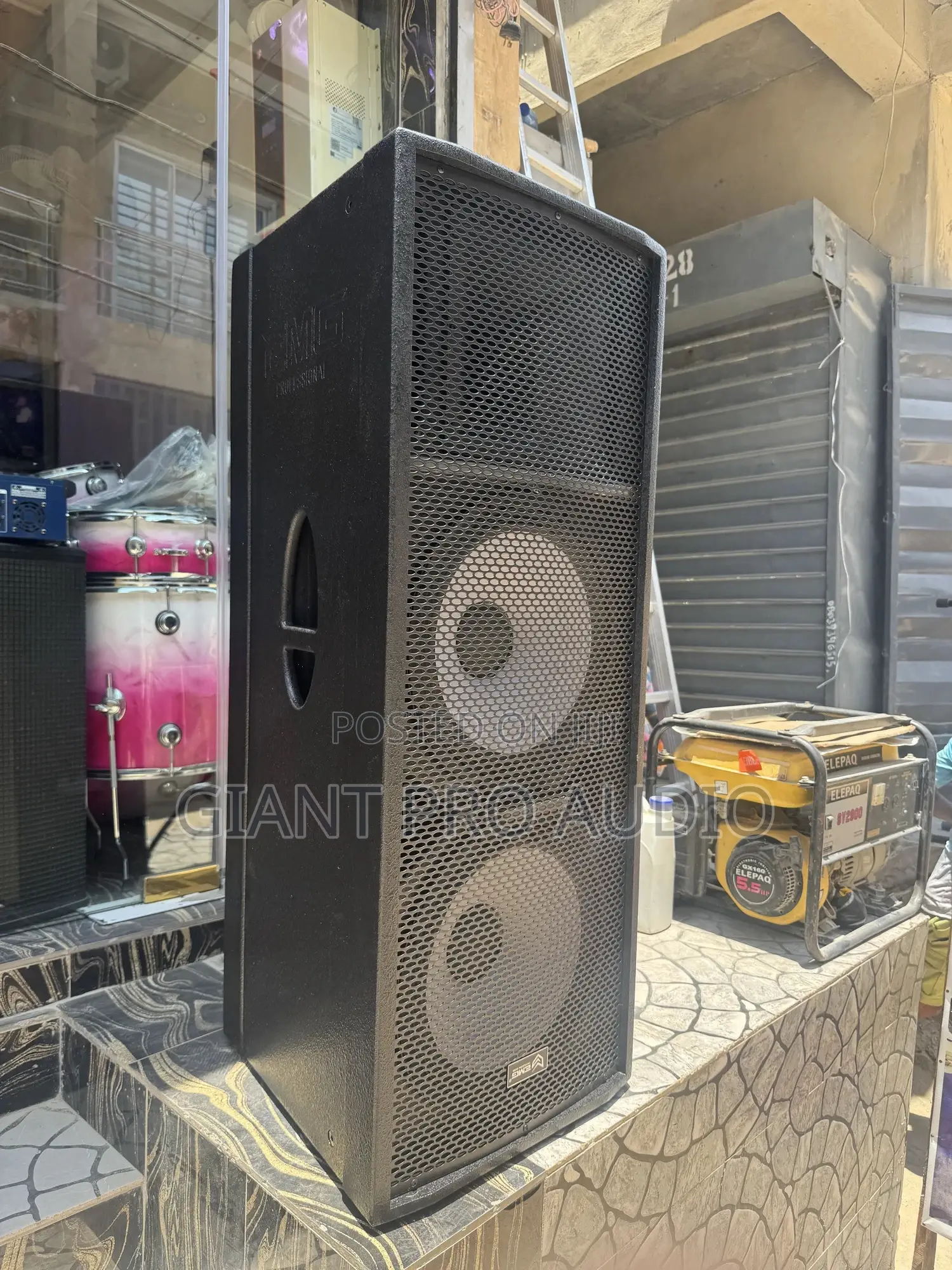 Emg Full Range Speaker
