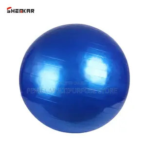 Stability/Exercise Ball