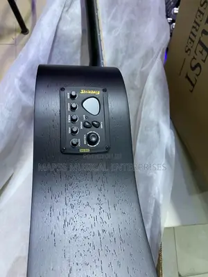 Strinberg Forest Fs4d Electro-Acoustic Guitar