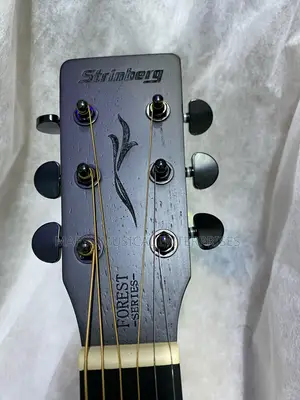 Strinberg Forest Fs4d Electro-Acoustic Guitar