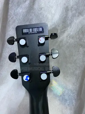 Strinberg Forest Fs4d Electro-Acoustic Guitar