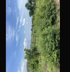 Farmland at Dobi Extension