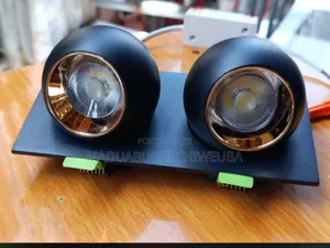 Two Eye Led Cob Light