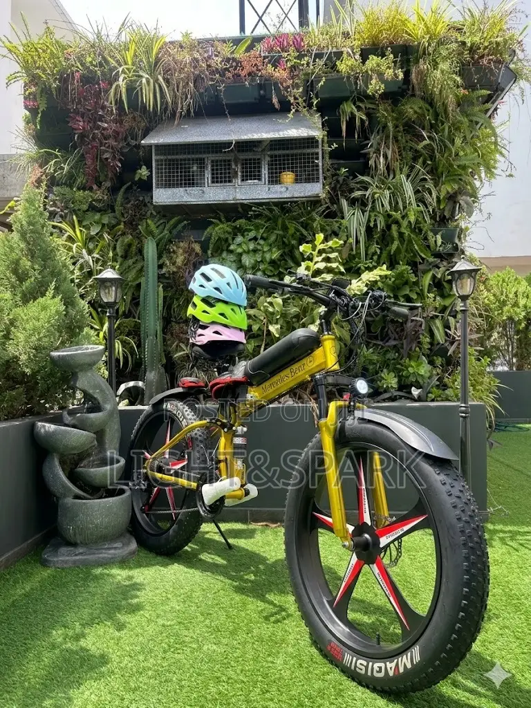 Electric Bicycle