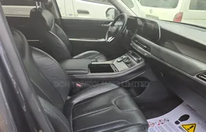 Hyundai Palisade 2020 Gray