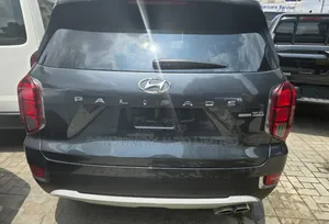 Hyundai Palisade 2020 Gray