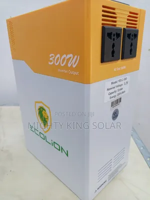 1kwh Eco Lion Solar Gen