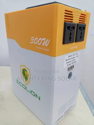 1kwh Eco Lion Solar Gen