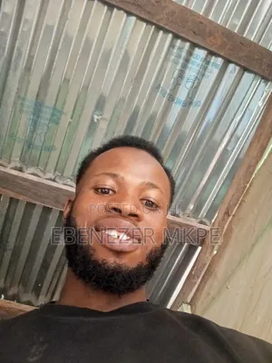 Mr Ebenezer Mkpe