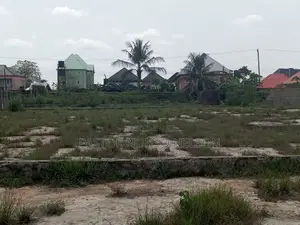4 Shareable Plots at Obinze Behind White House