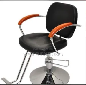 Salon Chair
