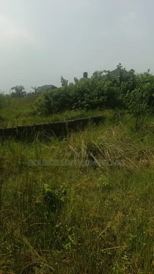 1119sqm Mixed Used Land