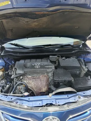 Toyota Camry 2010 Blue