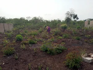 A Plot of Land