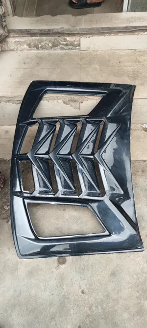 Back Windscreen Net Is250
