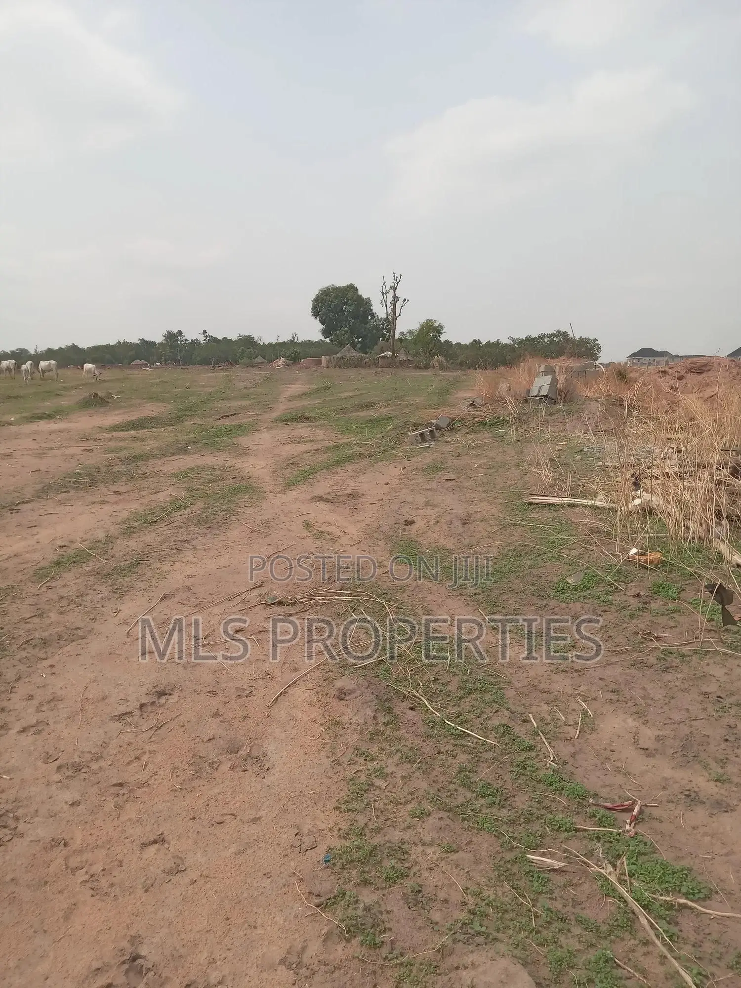 Prime 250sqm Estate Plot