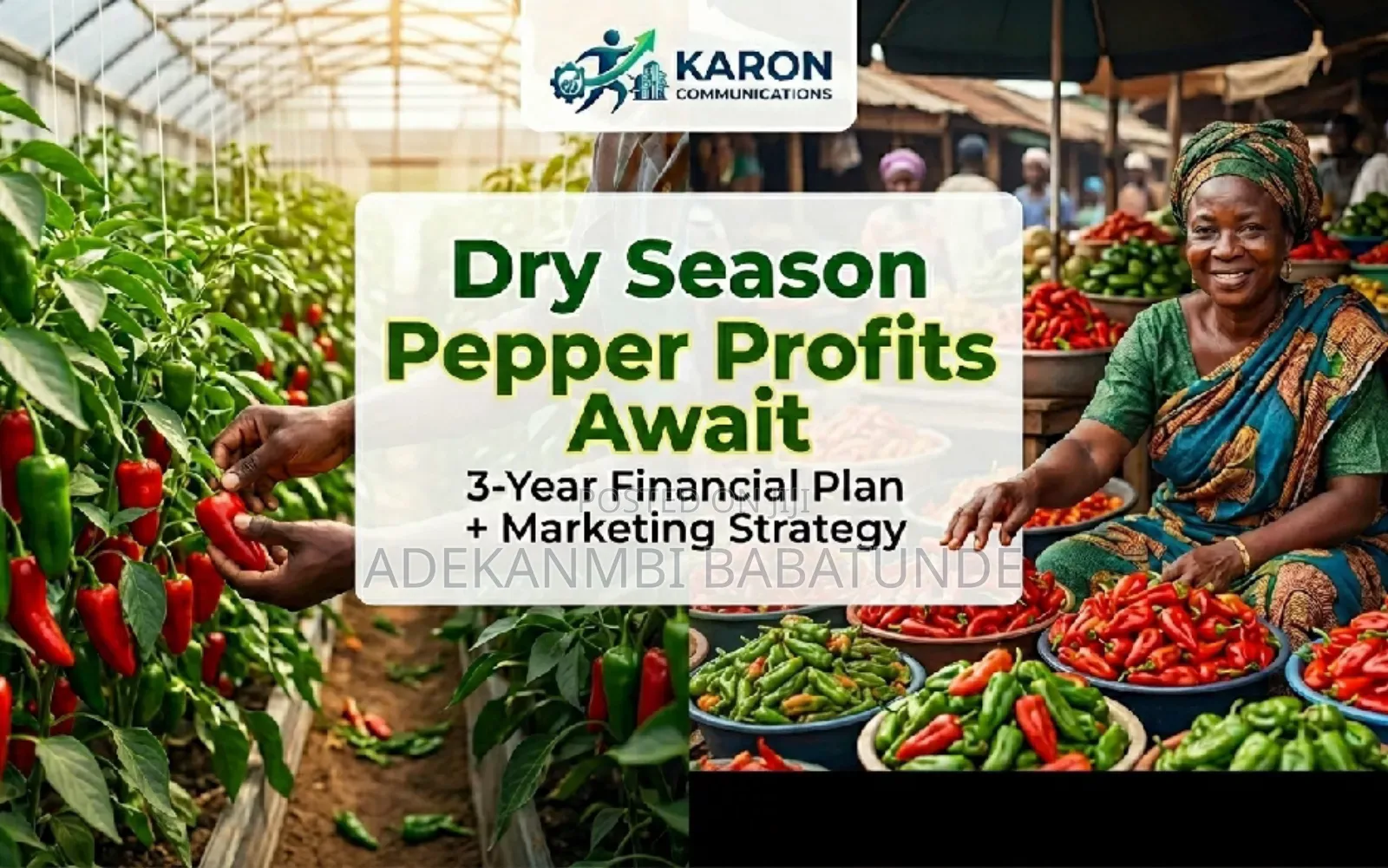 Pepper Farming Comprehensive Business Plan