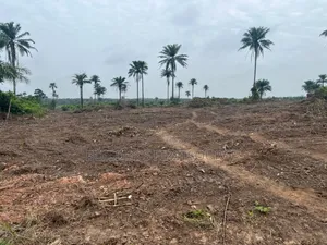 20 Acres of Land at Modoja