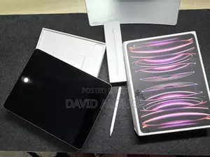 Apple iPad Pro 512 GB Gray