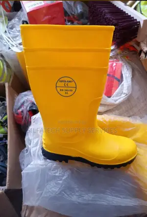 Original Rainboot
