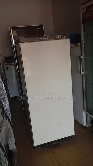 Siemens Iceblock Freezer