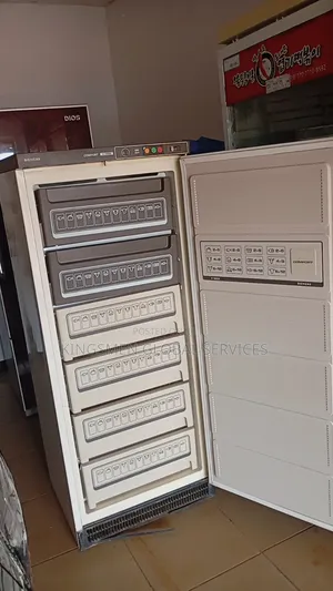 Siemens Iceblock Freezer