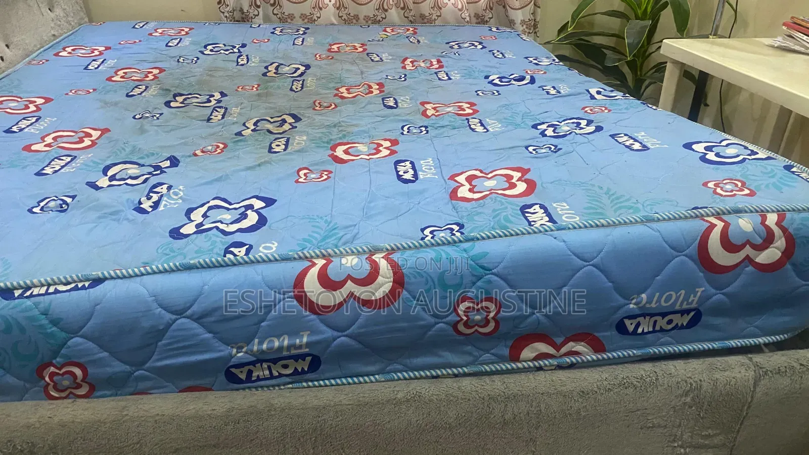 Bed Frame and Mattress