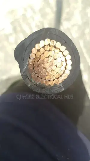 500mm Single Core Armored Cable