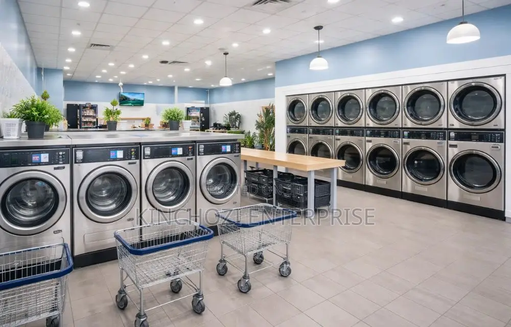 Premium Laundry Dry Cleaning (Free Trial Available)