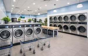 Premium Laundry Dry Cleaning (Free Trial Available)